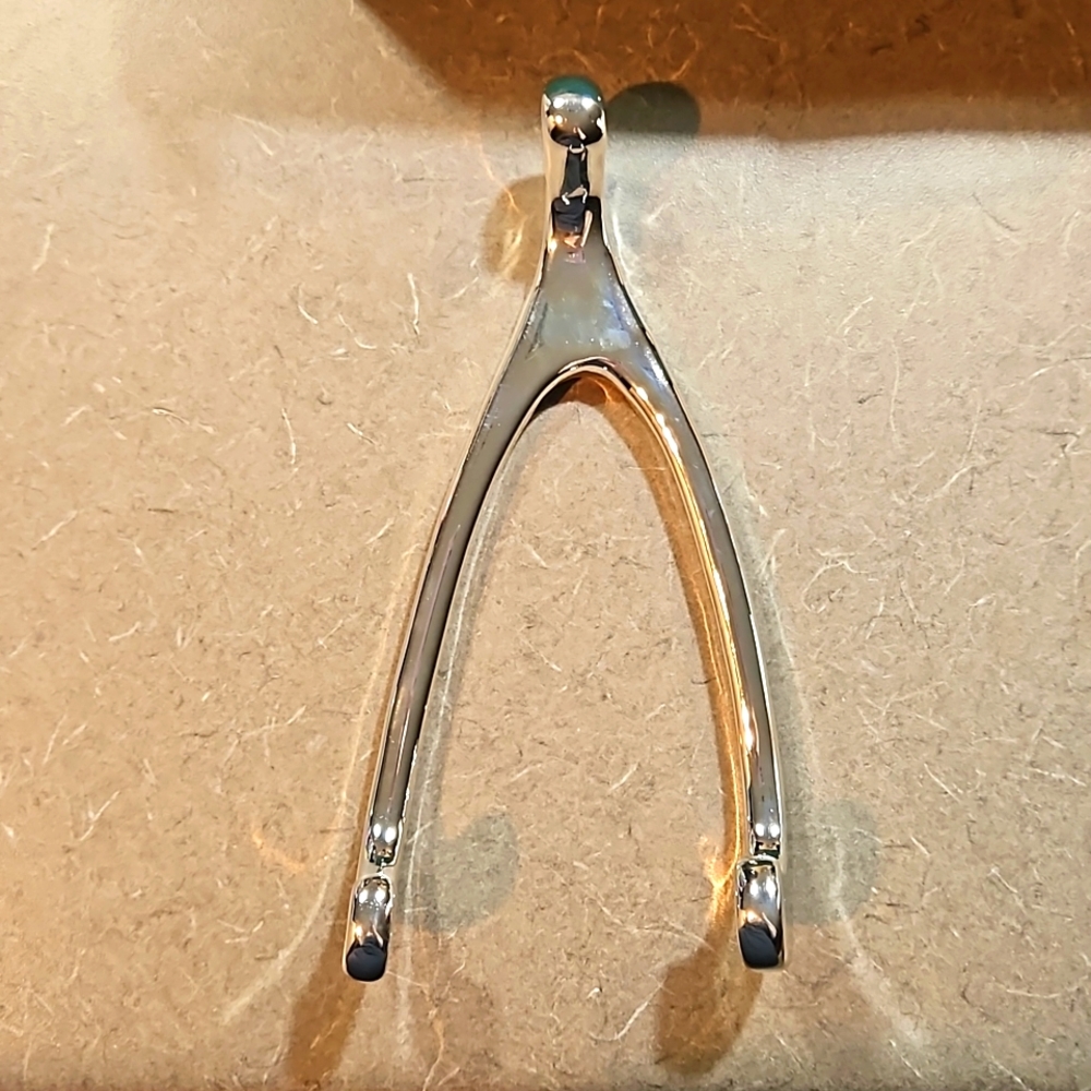 Lucky Break Collection Wishbone Wall Jewelry Hook – Silver